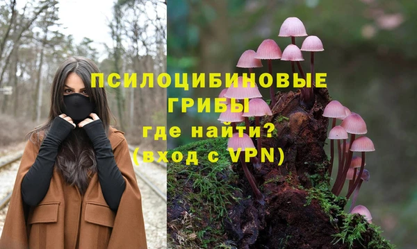 ПСИЛОЦИБИНОВЫЕ ГРИБЫ Волосово